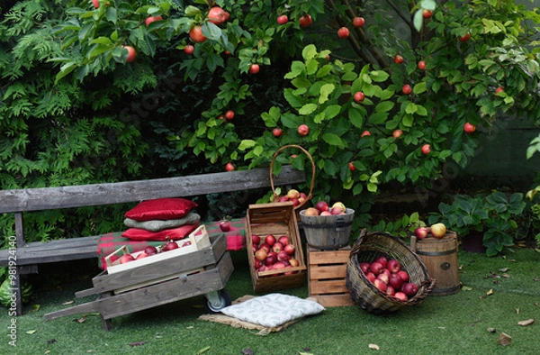 Obraz basket with flowers and apples