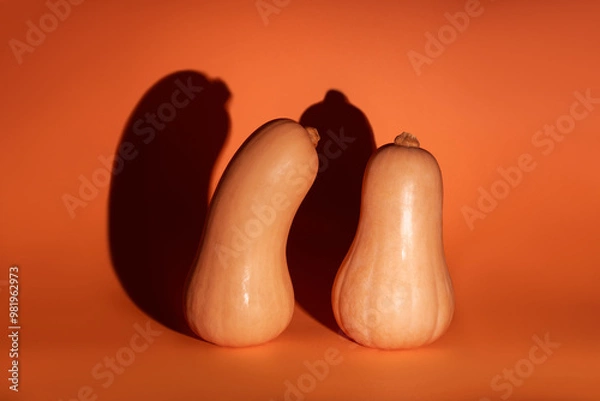 Obraz two pumpkins with big ominous shadows isolated on orange background, halloween mood