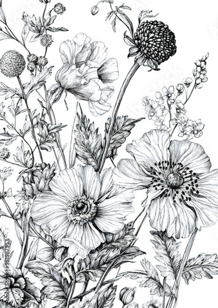 Obraz モノクロで描かれた花