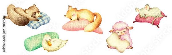 Fototapeta 枕で眠る動物たちのセット2　手描き色鉛筆画