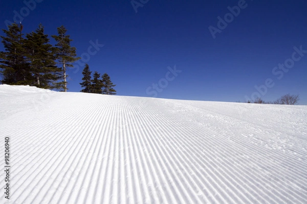 Obraz 圧雪車の踏跡