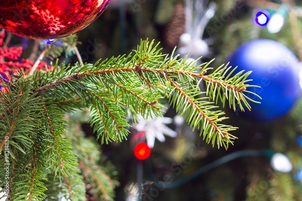 Obraz Christmas tree close-up