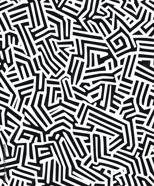 Obraz A complex pattern of abstract black and white lines creating a visually intriguing design.