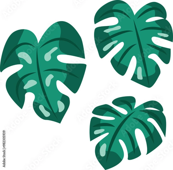 Obraz Tropical Monstera Leaf Design Element.