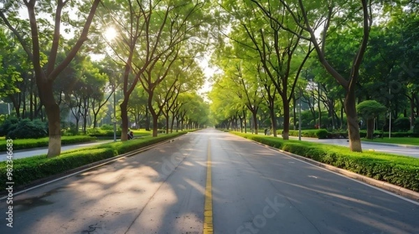Fototapeta Asphalt road in the park with green trees