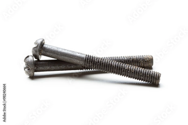 Obraz Old scews, bolts, nuts