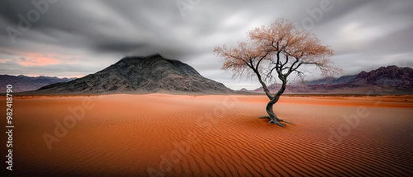 Fototapeta ImageStunning Desert Landscape at Sunset Majestic sand dunes with flowing curves set against rugged mountain formations capturing the vast beauty and tranquility of a desert oasis in soft evening ligh