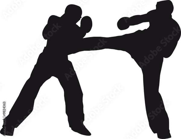 Obraz Kickboxer