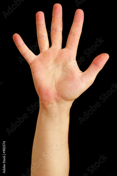Obraz five fingers