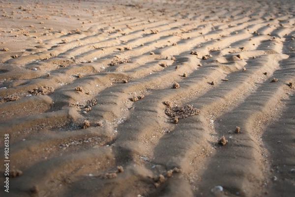 Obraz Sand Curve Texture