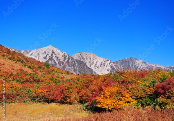 Obraz 北アルプス　紅葉と白馬三山