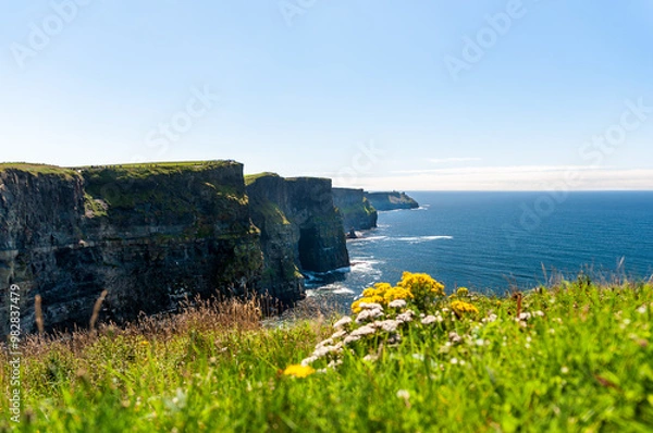 Obraz The Cliffs of Moher rise above the Atlantic Ocean with green grass atop the cliffs. The sea meets the rocky formations below, with yellow wildflowers in the foreground and distant view of the horizon.