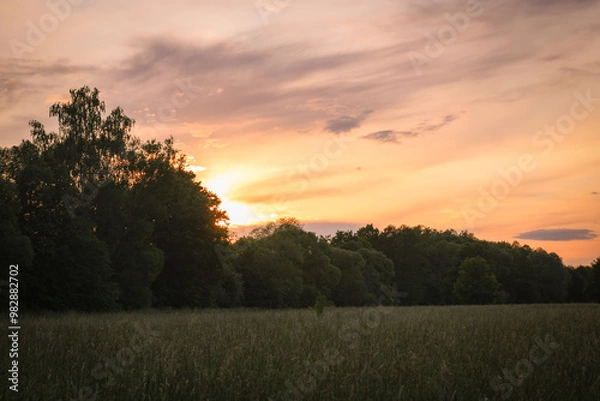 Fototapeta sunset over the field in summer with dramatic sky in Czech Republic, rural view