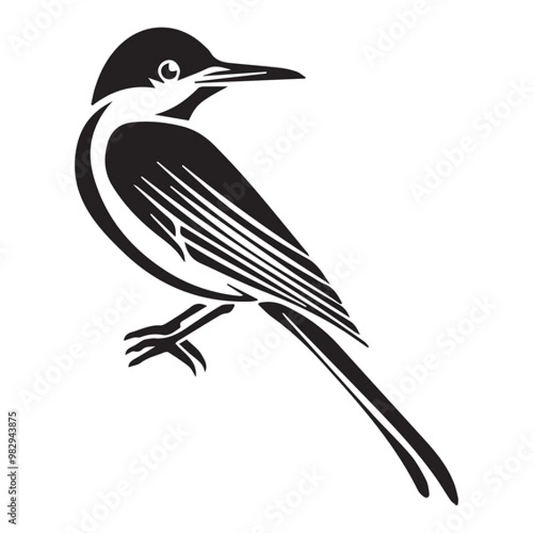 Obraz black and white bird