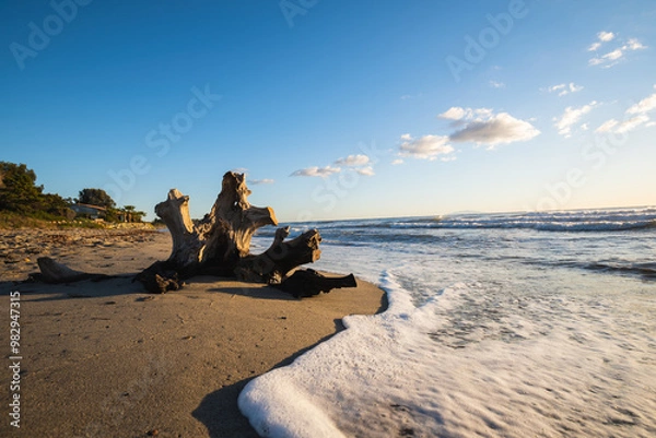 Obraz beach at sunset