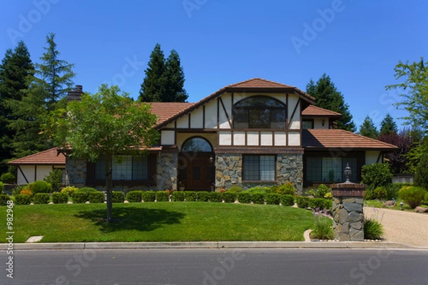 Obraz luxury home 20