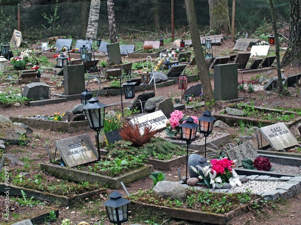 Obraz cmentarz zwierząt