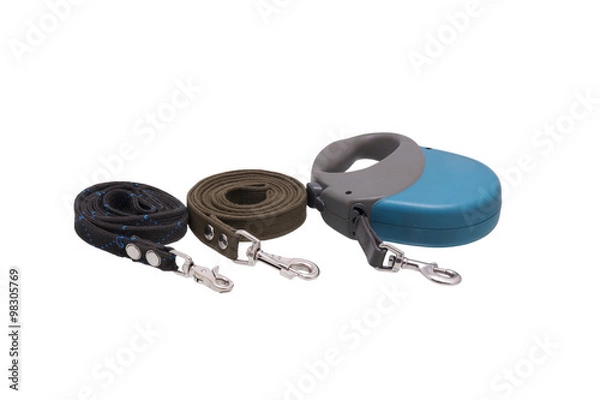 Obraz Three dog leashes.