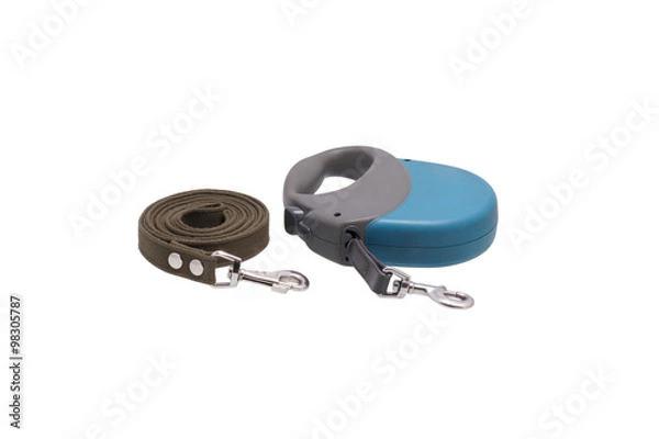 Obraz Two folded dog leashes.