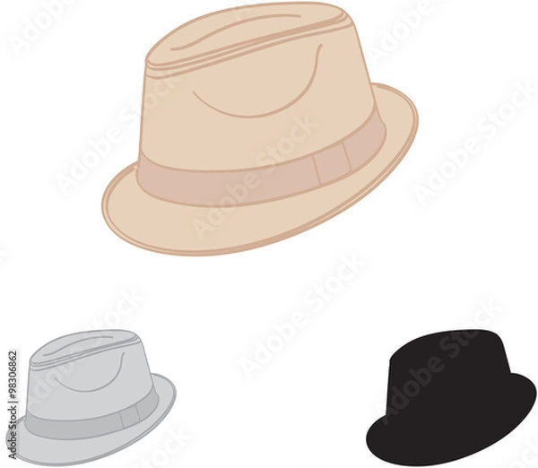 Obraz chapeau trilby