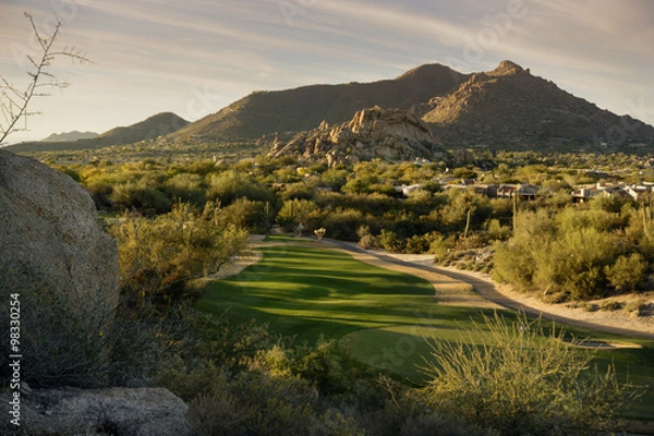 Obraz Arizona Desert Landscape Scene, Scottsdale, AZ