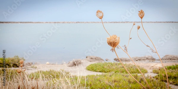 Fototapeta Wild beach