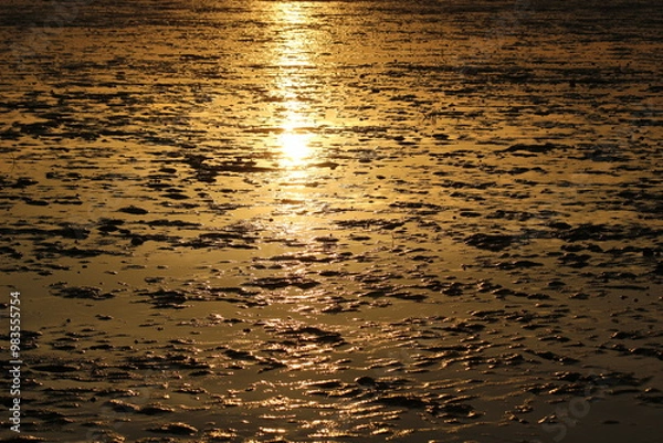 Fototapeta sunset on the beach