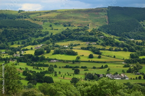 Fototapeta landscape with green fields