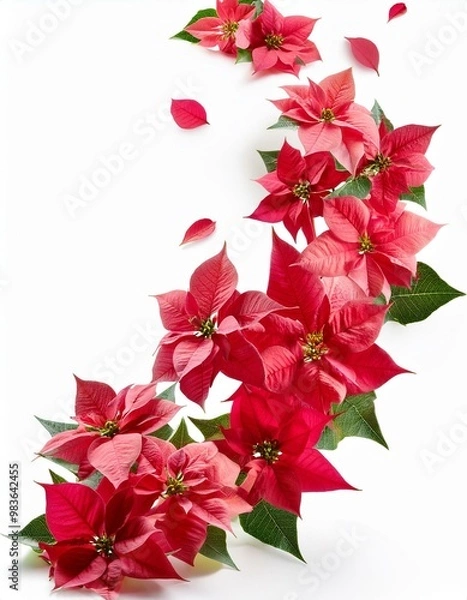 Obraz Flores de colores