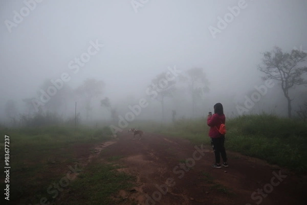 Fototapeta Hiking spots in Thailand Carrying a backpack through the forest Travel to Thailand, breathe in oxygen to fill your lungs, travel, trekking, fog, green trees. 