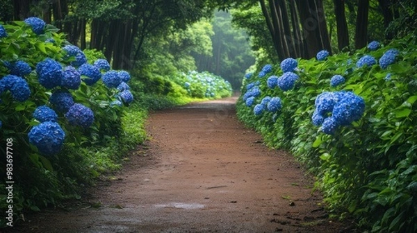 Fototapeta Path Through a Hydrangea Forest