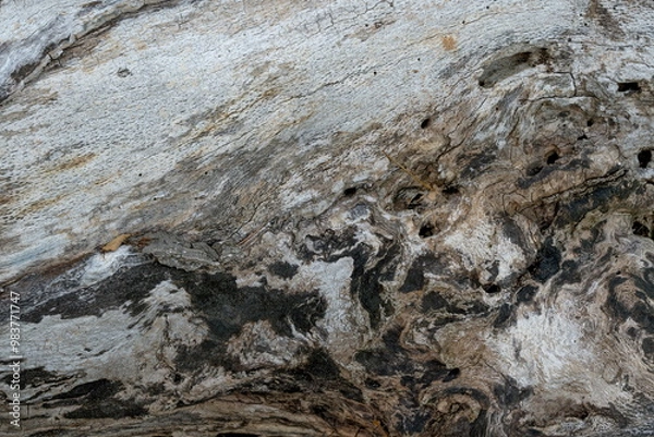 Obraz Patterns in old wood