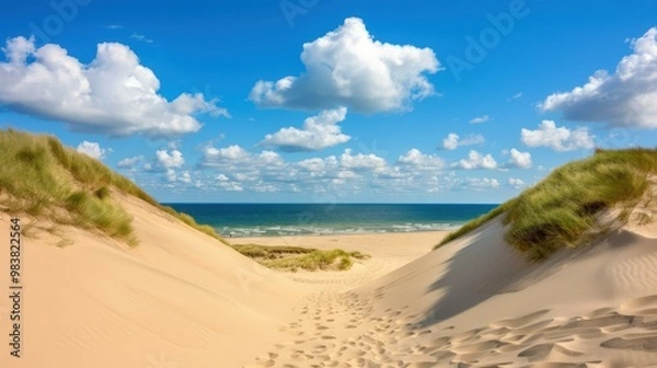 Fototapeta A breathtaking view of vast dunes along the serene Baltic Sea coast, where land meets water in stunning harmony.