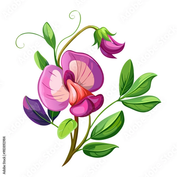 Fototapeta Elegant Sweet Pea Flower Illustration - Soft Pink and Red Petals with Lush Green Leaves, Ideal for Romantic and Spring Themes, Sweet Pea Flower vector Illustration, Sweet Pea vector Illustration