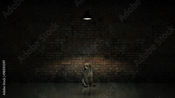 Obraz abandoned dog, concept abandonment 