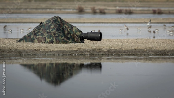 Obraz Bird photographer