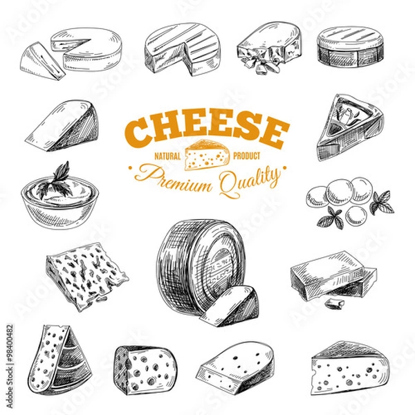 Fototapeta Vector hand drawn illustration with cheeses .