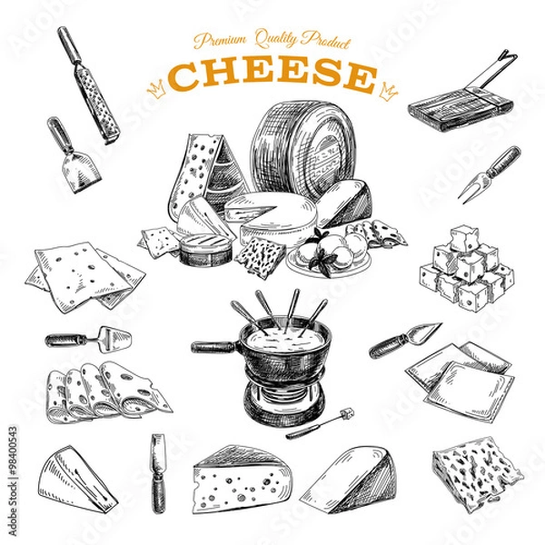 Obraz Vector hand drawn illustration with cheeses .