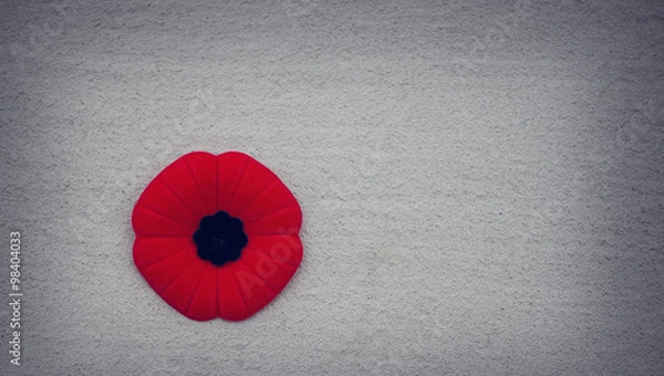 Obraz Remembrance Day poppy