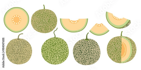 Fototapeta Melon fruit vector set cute cartoon style. isolated on white background.