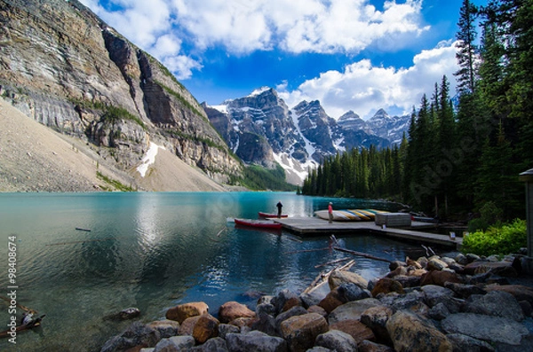 Obraz Logs at moraine lake