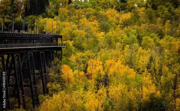 Obraz Fall colors alone the high level bridge