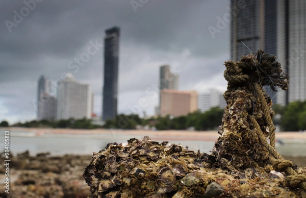Fototapeta an old stone anchor covered with shells at low tide on a blurred background with skyscrapers