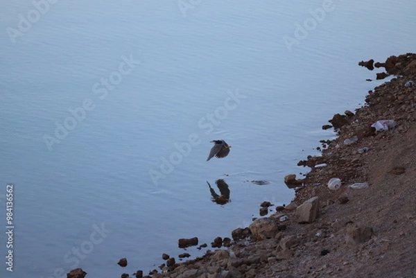 Obraz footprints on the sand