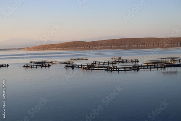 Obraz sunset on the river