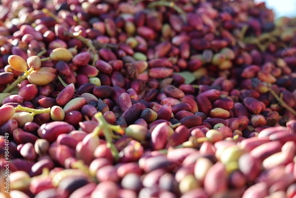 Obraz beans in a market