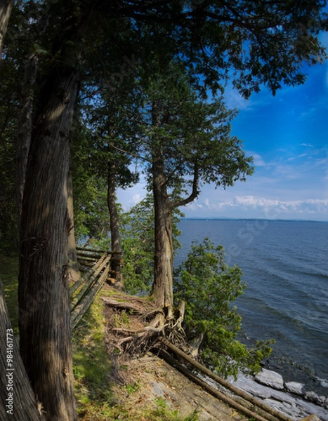 Fototapeta summer landscape