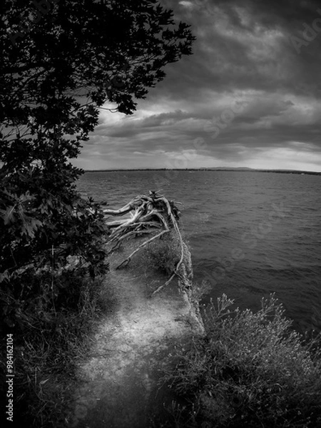 Obraz summer landscape