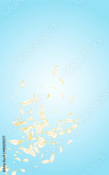 Fototapeta yellow_petals_blue_background_828.eps