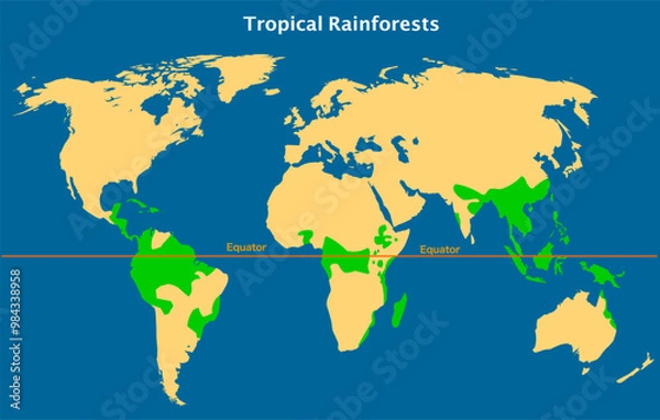 Obraz Tropical rainforests, rain forest in earth equator map.  Green trees location atlas. Oxygen climate earth. Monsoons followed by a dry season, Rainfall are moist deciduous forests . Vector illustration